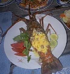 spiceisland2